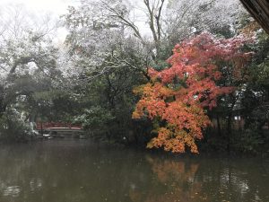 img_0275
